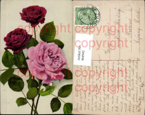 464942,Blumen Rote u. Rosa Rosen Blüten