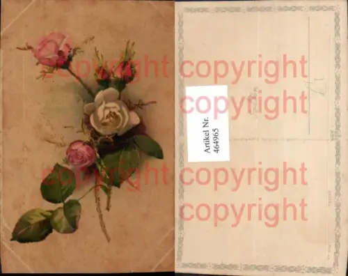 464965,Blumen Rosa Rosen Blüte Knospen
