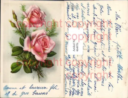 464976,Blumen Rosa Rosen Blüten