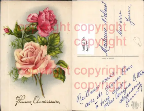 464977,Blumen Rosa Rosen Blüten