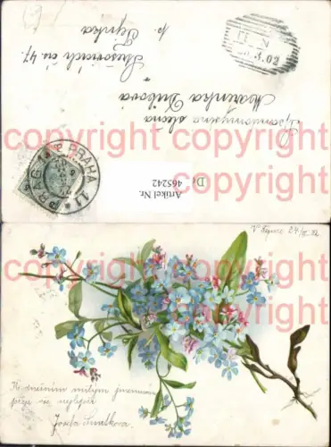 465242,Blumen Rosa u. Vergissmeinnicht