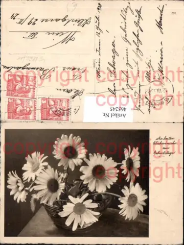 465245,Blumen Weiße Margeriten Korb
