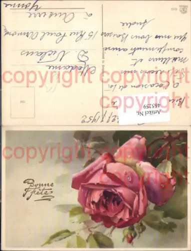465259,Künstler Ak Rosa Rosen Wassertropfen Blumen