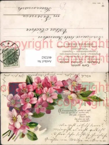 465262,Litho Blumen Rosa Blütenzweig Text