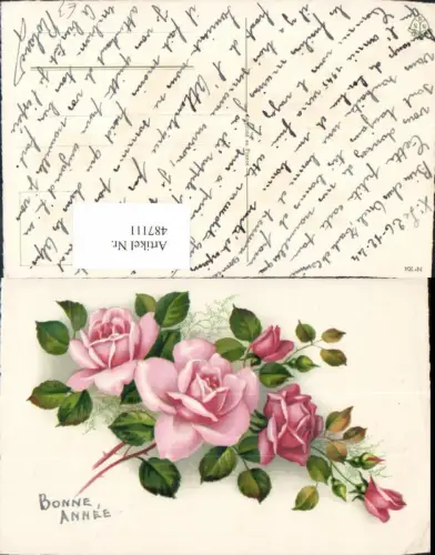 487111,Blumen Rosa Rosen Knospen Blüten