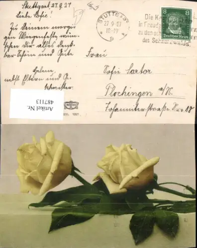 487113,Blumen Gelbe Rosen Blüten