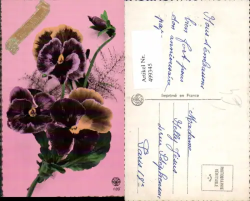 499345,Blumen Stiefmütterchen Heureux Anniversaire pub A. Noyer