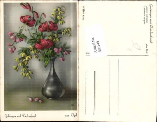 539149,Künstler AK Ogel Blume Blumen Goldregen Türkenbund