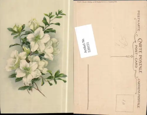 539151,Blume Blumen Litho pub B. Dondorf Frankfurt