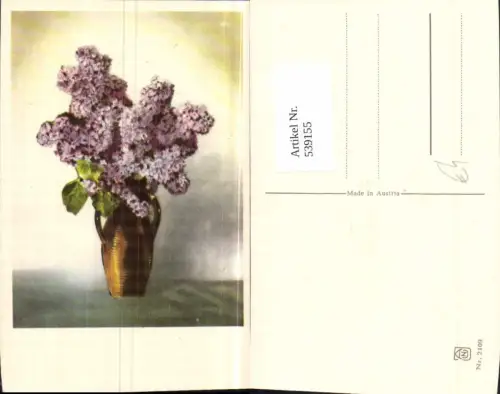 539155,Blume Blumen Flieder vase