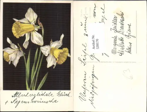 539170,Blume Blumen pub Hans Glogner Neu Isenburg