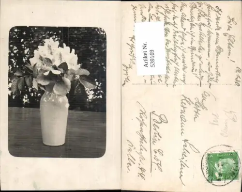539169,Foto AK Blume Blumen Vase