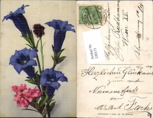 539171,Blume Blumen Primeln