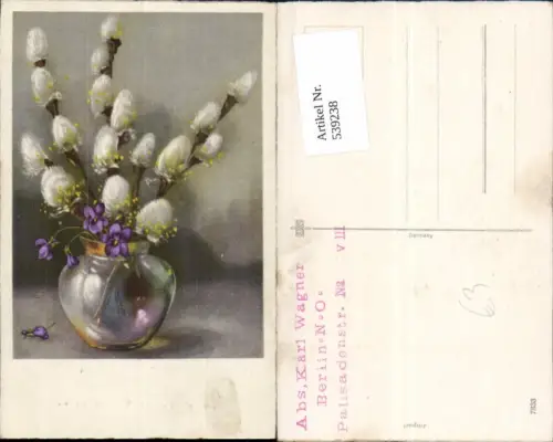 539238,Blume Blumen Palmkätzchen Ostern