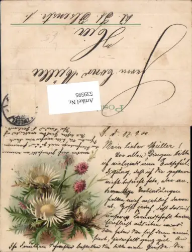 539595,Blumen Blume Litho