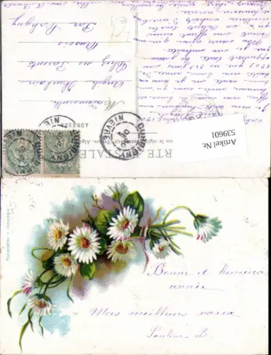 539601,Blumen Blume Margueriten