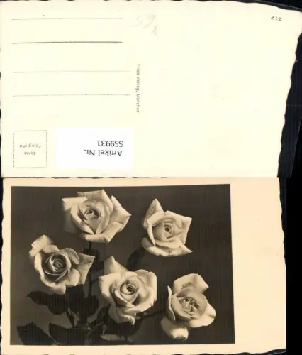 559931,Foto Ak Weiße Rosen Blumen pub Frido München 217