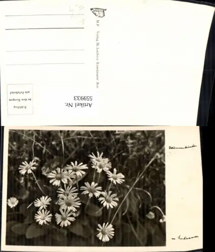559933,Foto Ak Blumenkinder Asternart Blumen