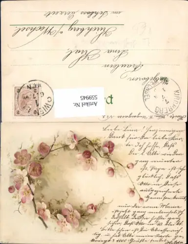 559945,Litho Blütenzweig Rosa Blumen pub Hoffmann Leipzig