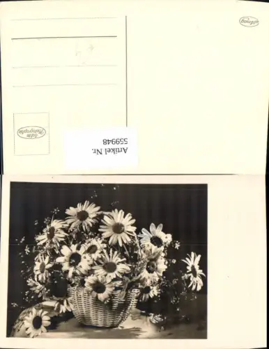 559948,Foto ak Korb m. Margeriten od. Sonnenhut Blumen