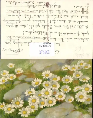 559958,Künstler Ak A. Haller Gänseblümchen Steine Blumen