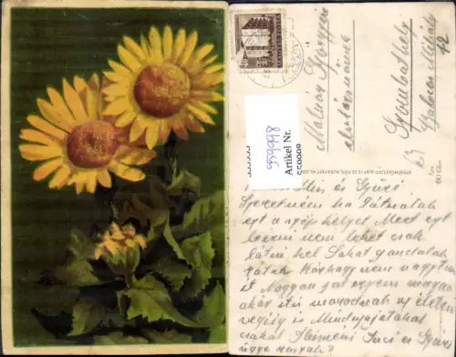 559998,Blumen Sonnenblumen Blüten Knospen
