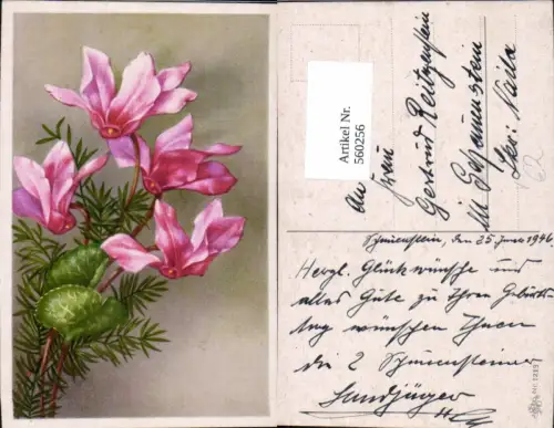 560256,Künstler Ak Rosa Alpenveilchen Blumen pub Erika 1213
