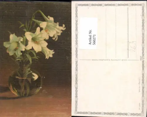 560271,Künstler Ak Vase Weiße Lilien pub Wenau Pastell 988