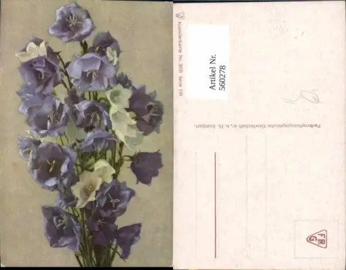 560278,Künstler Ak Glockenblumen Violett Weiß Blumen