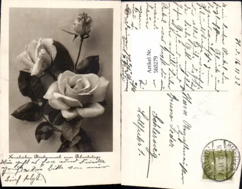 560279,Rosen Blumen Geburtstag