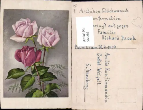 560286,Künstler Ak Rosa Rote Rosen Blüten Blumen