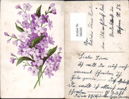 560292,Strauß Violette Lila Blüten Blumen