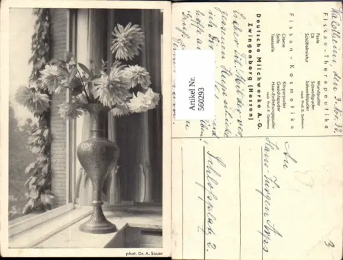 560293,Fotokunst Dr. A. Sauer Vase Dahlien Blumen am Fenster pub Deutsche Milchwerke Ag