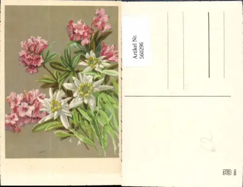 560296,Künstler Ak Edelweiß Alpenrosen Blumen