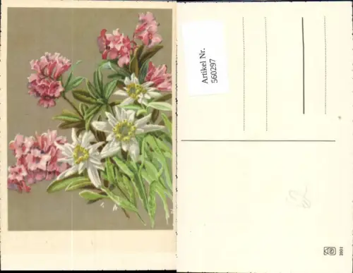 560297,Künstler Ak Edelweiß Alpenrosen Blumen