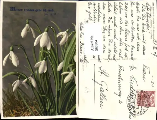 560304,Schneeglöckchen Blumen