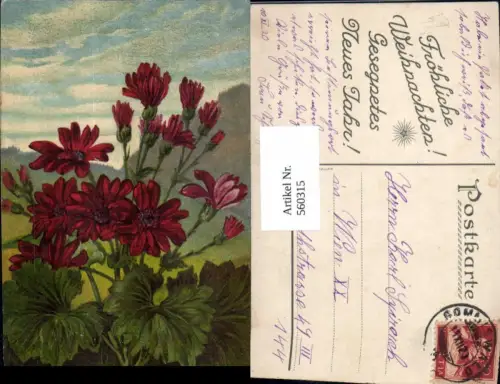 560315,Künstler Ak Rote Blume Landschaft