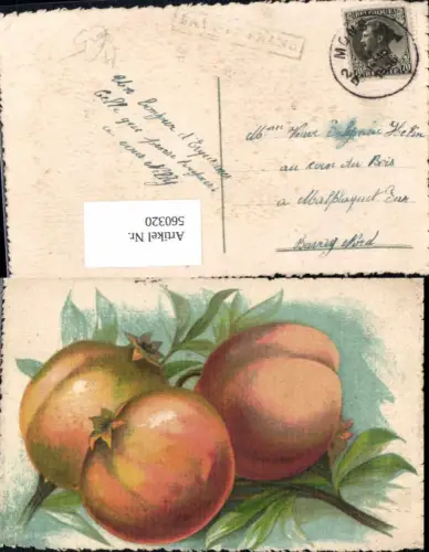 560320,Frucht Obst Kaki