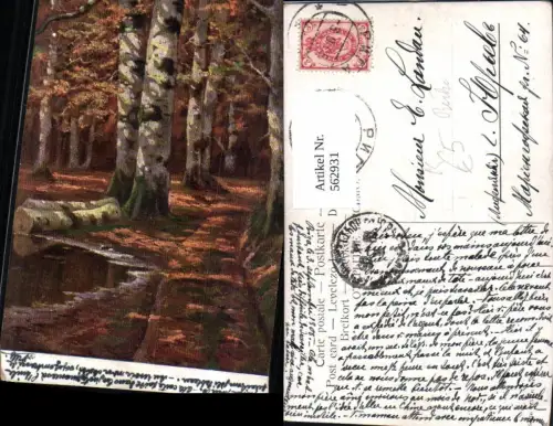 562931,Künstler Ak Birken Birke Wald Bäume Baum