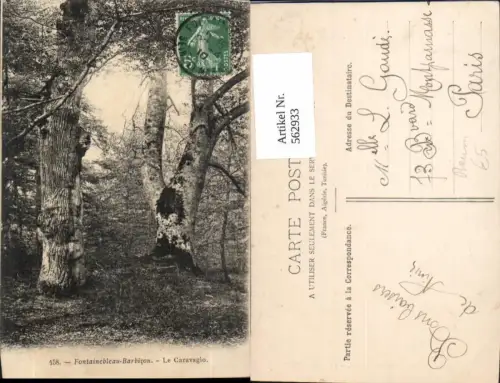 562933,Fontainebleau-Barbizon Le Caravagio Bäume Baum