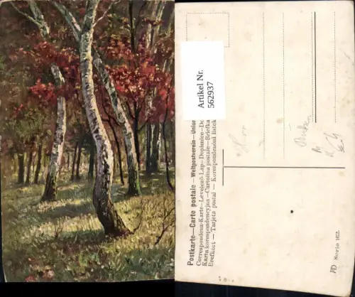 562937,Künstler Ak Birken Birke Bäume Baum