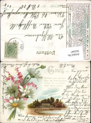 562947,Litho Margeriten Haus Blume Blumen Reklame Unfall-Versicherung Wien