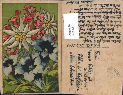 562954,Künstler Ak Edelweiß Enzian Alpenrose Blume Blumen pub F. E. Brandt