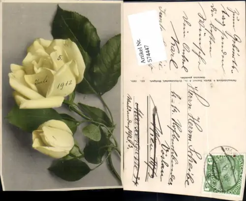 574447,Blumen Botanik Rosen pub Martin Rommel e Co. 634