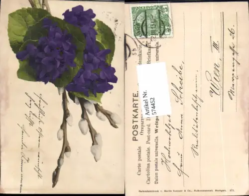 574452,Blumen Botanik Veilchen pub Martin Rommel e Co. 571