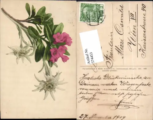 574453,Blumen Botanik Edelweiss pub Martin Rommel e Co. 523