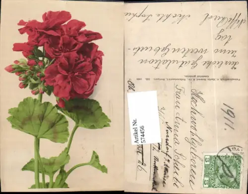 574456,Blumen Botanik Rosen pub Martin Rommel e Co. 592