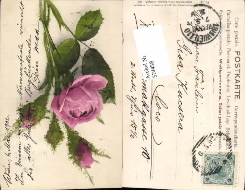 574458,Blumen Botanik Rose pub Martin Rommel e Co. 533