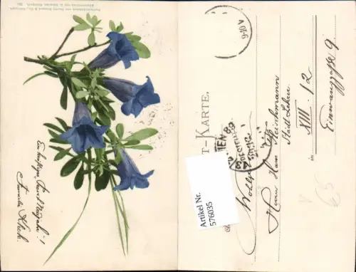 576035,Botanik Blumen pub Martin Rommel Stuttgart 531
