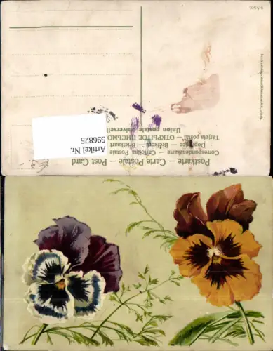596825,Stiefmütterchen Blumen